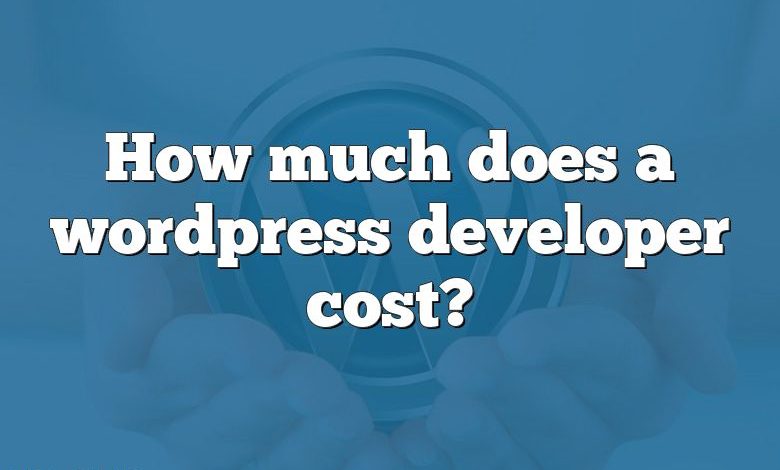 How much does a wordpress developer cost?