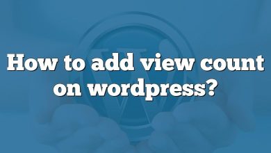 How to add view count on wordpress?