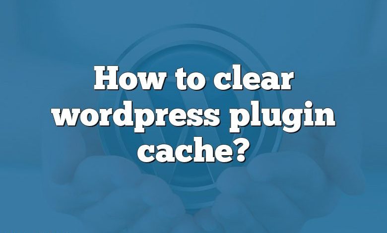 How to clear wordpress plugin cache?