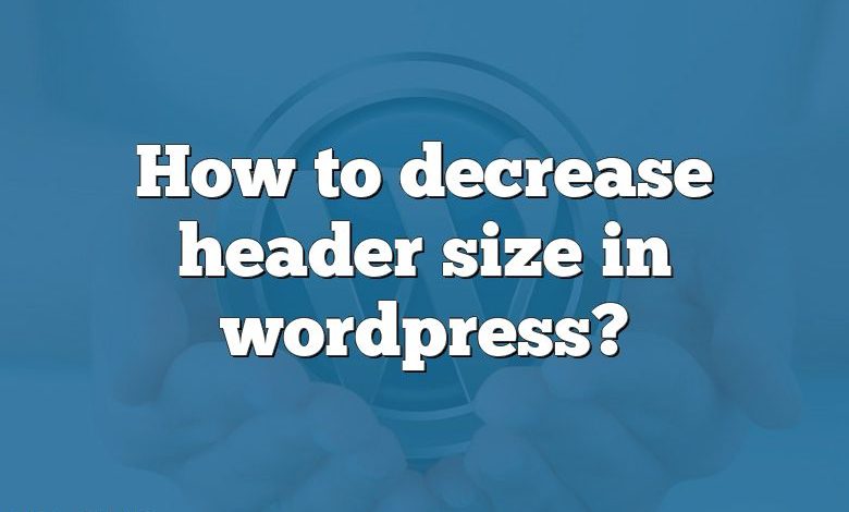 how-to-decrease-header-size-in-wordpress