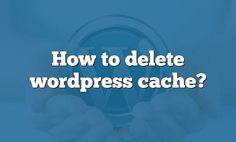 How to delete wordpress cache?