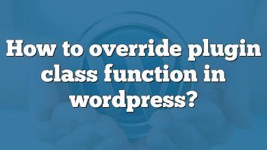 How to override plugin class function in wordpress?