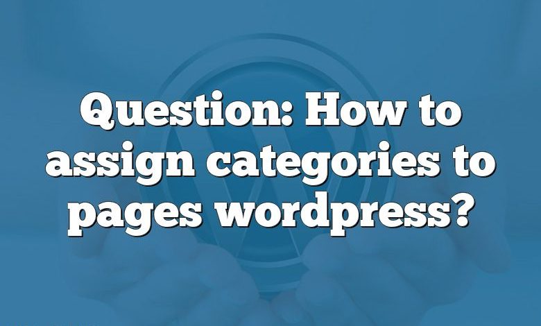 Question: How to assign categories to pages wordpress?