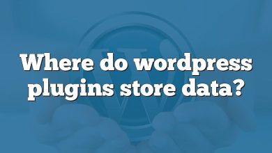 Where do wordpress plugins store data?