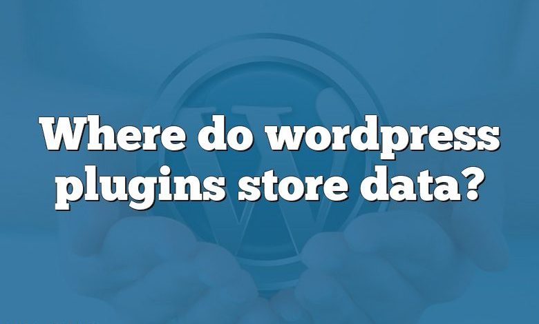 Where do wordpress plugins store data?