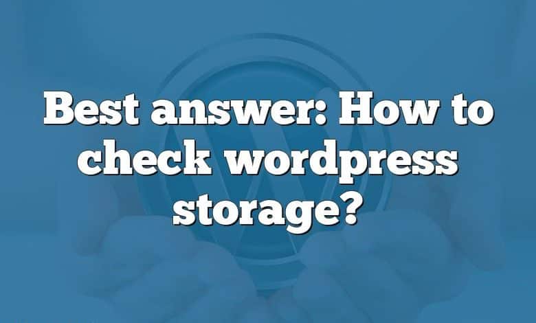 Best answer: How to check wordpress storage?