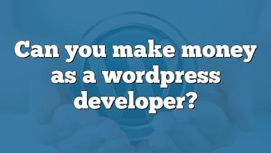Can you make money as a wordpress developer?