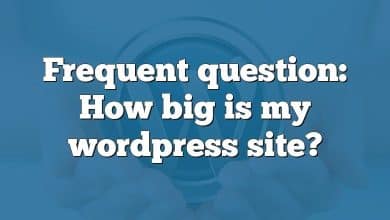 Frequent question: How big is my wordpress site?