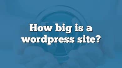 How big is a wordpress site?