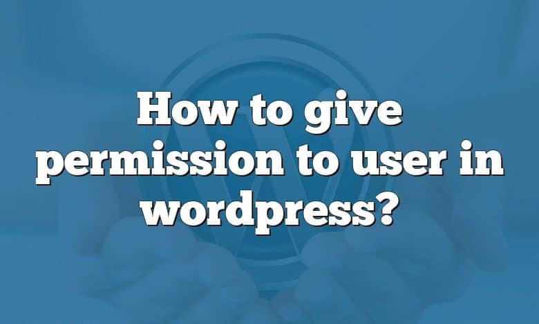 How to give permission to user in wordpress?