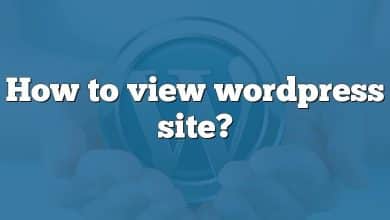 How to view wordpress site?