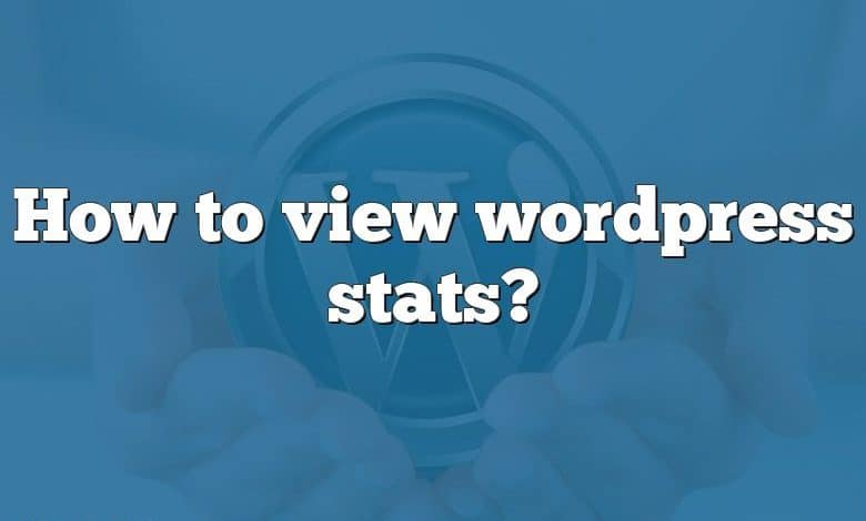 How to view wordpress stats?