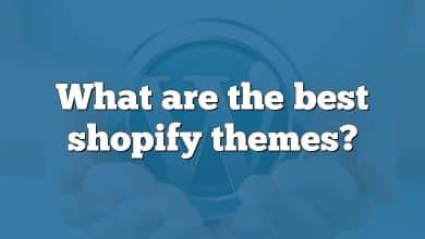 What are the best shopify themes?