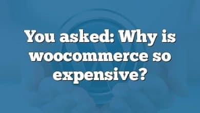 You asked: Why is woocommerce so expensive?