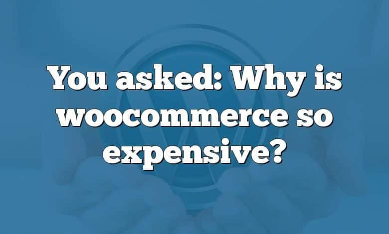 You asked: Why is woocommerce so expensive?