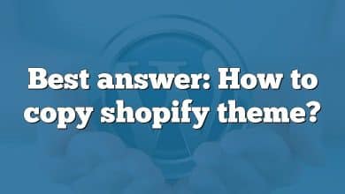 Best answer: How to copy shopify theme?