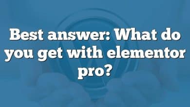 Best answer: What do you get with elementor pro?