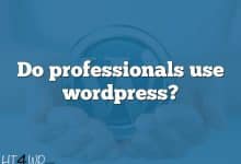 Do professionals use wordpress?