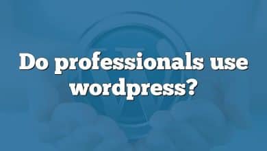 Do professionals use wordpress?