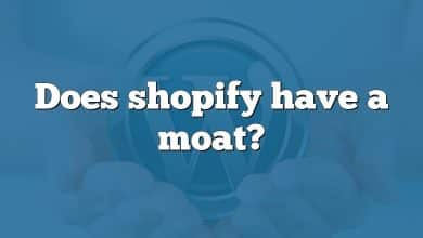 Does shopify have a moat?