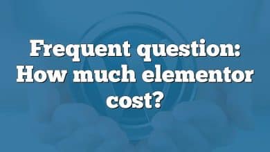 Frequent question: How much elementor cost?