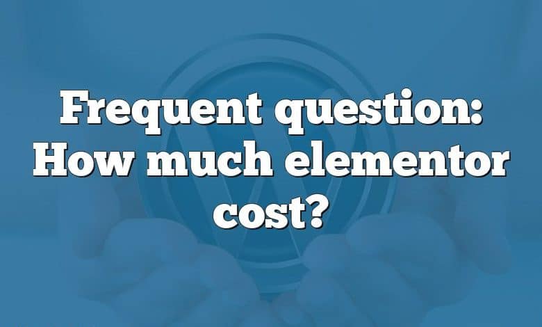 Frequent question: How much elementor cost?