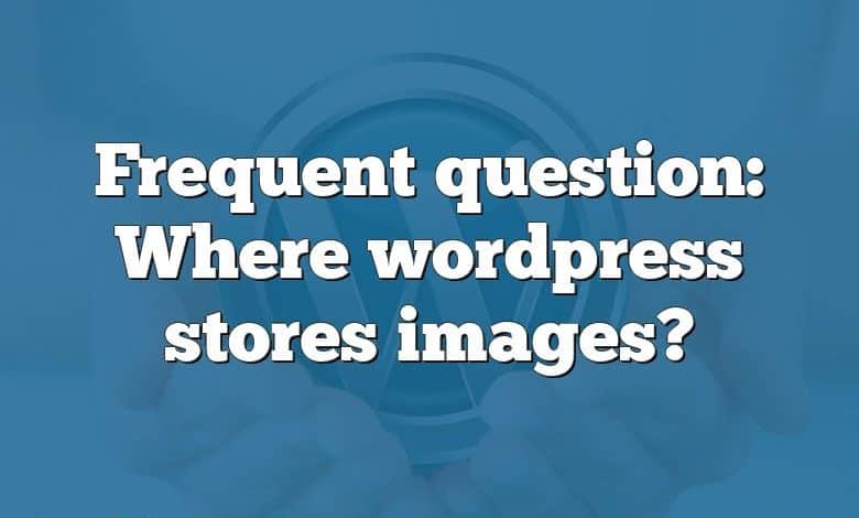 Frequent question: Where wordpress stores images?