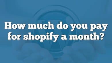 How much do you pay for shopify a month?