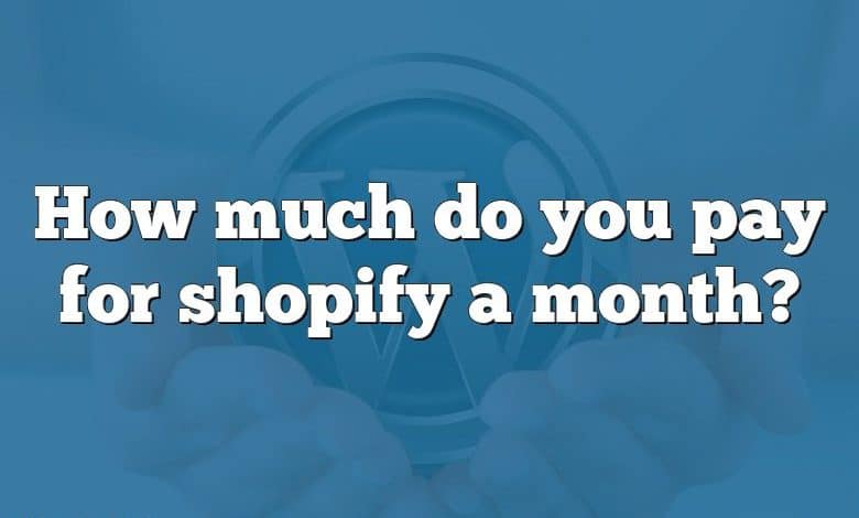 How much do you pay for shopify a month?