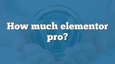 How much elementor pro?