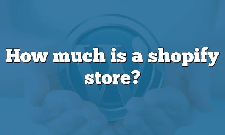 How much is a shopify store?