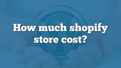 How much shopify store cost?