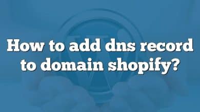 How to add dns record to domain shopify?