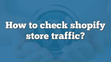 How to check shopify store traffic?