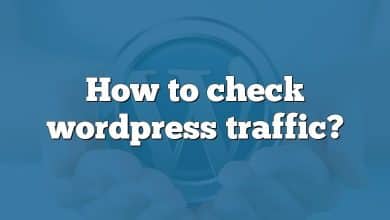 How to check wordpress traffic?