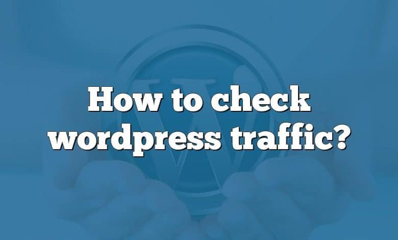 How to check wordpress traffic?