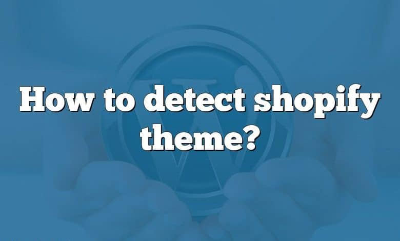 How to detect shopify theme?