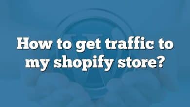 How to get traffic to my shopify store?