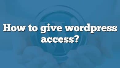 How to give wordpress access?