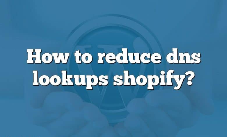 How to reduce dns lookups shopify?