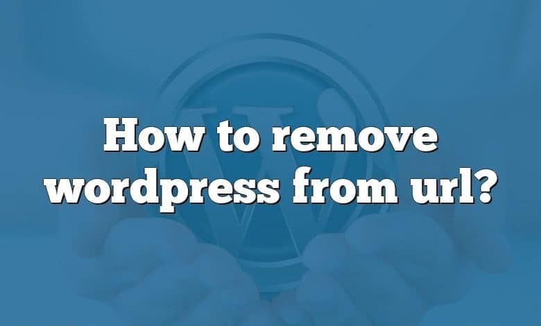 How to remove wordpress from url?