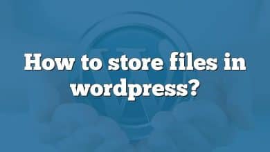 How to store files in wordpress?
