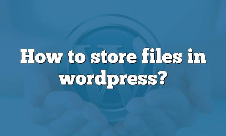 How to store files in wordpress?