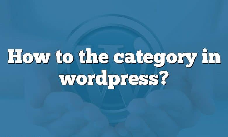 How to the category in wordpress?