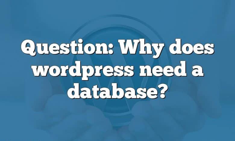 Question: Why does wordpress need a database?