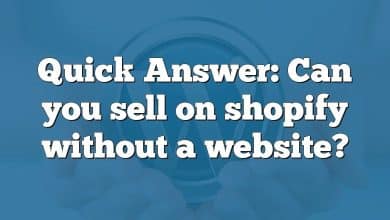 Quick Answer: Can you sell on shopify without a website?