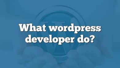 What wordpress developer do?