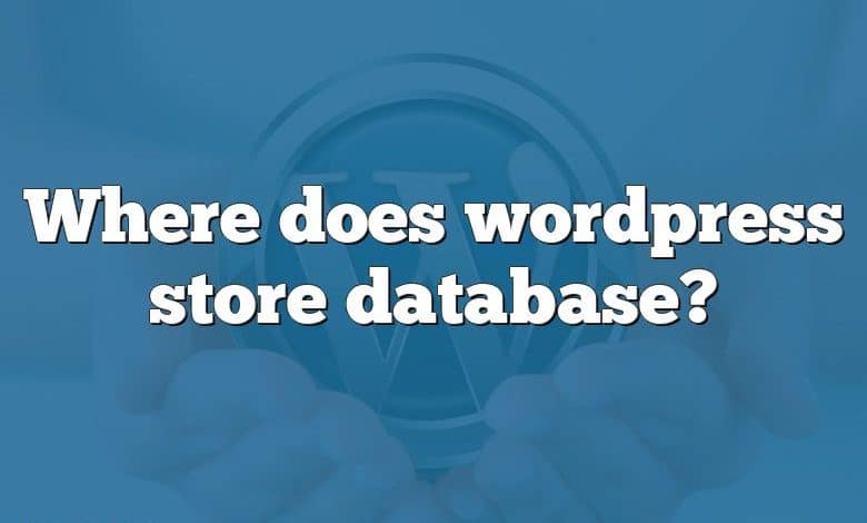 Where does wordpress store database?