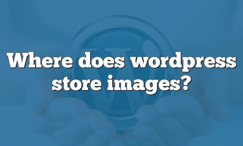 Where does wordpress store images?