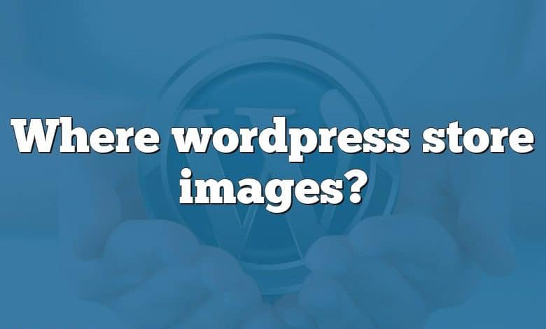 Where wordpress store images?